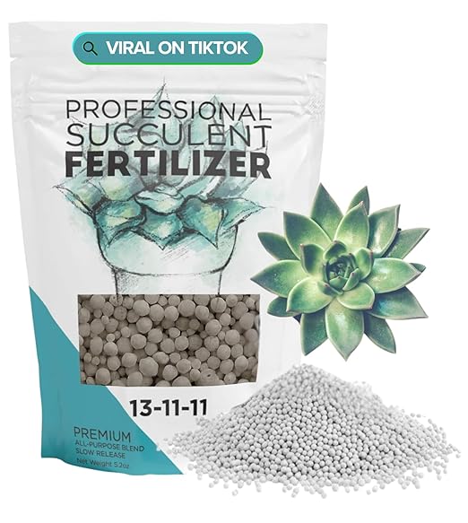 Leaves and Soul Succulent Fertilizer Pellets |13-11-11 Slow Release Pellets for All Cactus and Succulents | Multi-Purpose Blend & Gardening Supplies, No Fillers | 5.2 oz Resealable Packaging