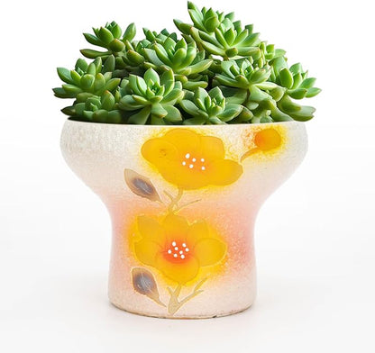 7.5 Inch Succulent pots, Pretty Hand Painted Bonsai pots with Drainage Holes for Cacti & Indoor Plants, Artistic Flower Pot for Outdoor Garden & Windowsill Décor