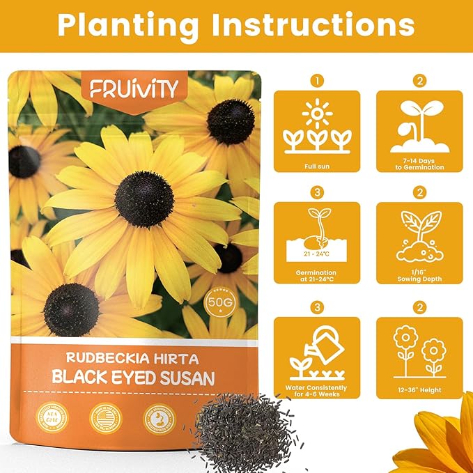 120,000+ Black Eyed Susan Seeds for Planting, Wildflower Seeds for Pollinator Gardens Planting, Non-GMO Heirloom Flower Seeds to Plant Outside & Inside, Borders, Containers, Rudbeckia hirta