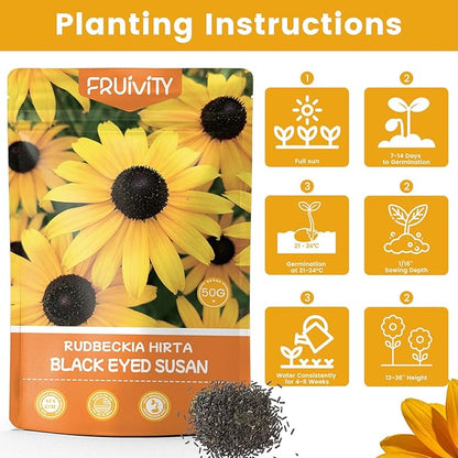 120,000+ Black Eyed Susan Seeds for Planting, Wildflower Seeds for Pollinator Gardens Planting, Non-GMO Heirloom Flower Seeds to Plant Outside & Inside, Borders, Containers, Rudbeckia hirta
