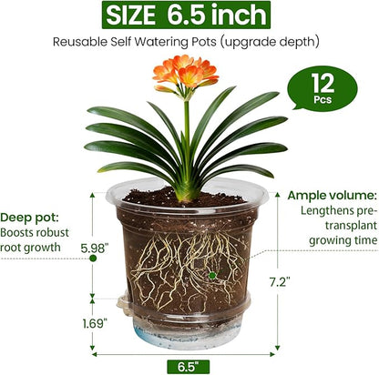 MIXC 12 Packs 6.5 Inch Self Watering Pots for Indoor Plants - Clear Nursery Plant Pots with Drainage, Deep Visible Reservoir - Flower Planter Outdoor with Wicking Rope