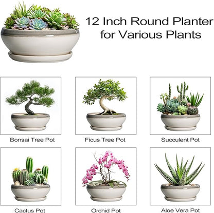 SQOWL Large Succulent Planters - 12 Inch Ceramic Bonsai Pots with Drainage Hole and Saucer, Shallow Round Planter for Indoor Plants, Bowl Planter Outdoor, Living Room Decor, Birthday Gift, Gray-Beige