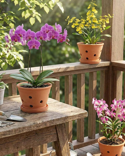 vensovo Terracotta Orchid Pots with Holes and Saucers - Clay Orchid Planter Pots for Repotting, Plant Flower Pots for Orchid Indoor and Outdoor Promotes Air Circulation