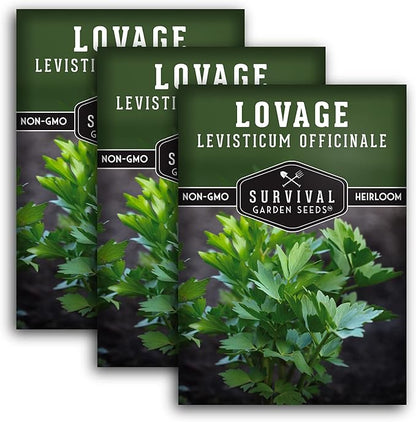 Survival Garden Seeds - Lovage Seed for Planting - 3 Packs with Instructions to Plant and Grow Perennial Levisticum Officinale Culinary Herb in Your Home Vegetable Garden - Non-GMO Heirloom Variety