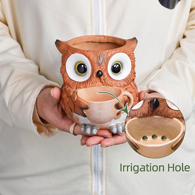 Unique Owl Plant Pots Indoor, Cute Small Succulent Pots with Drainage Hole, Watering Owl Planters for Indoor Outdoor Plants, Resin Flower Pot for String of Pearls, Gift Ideas for Mother