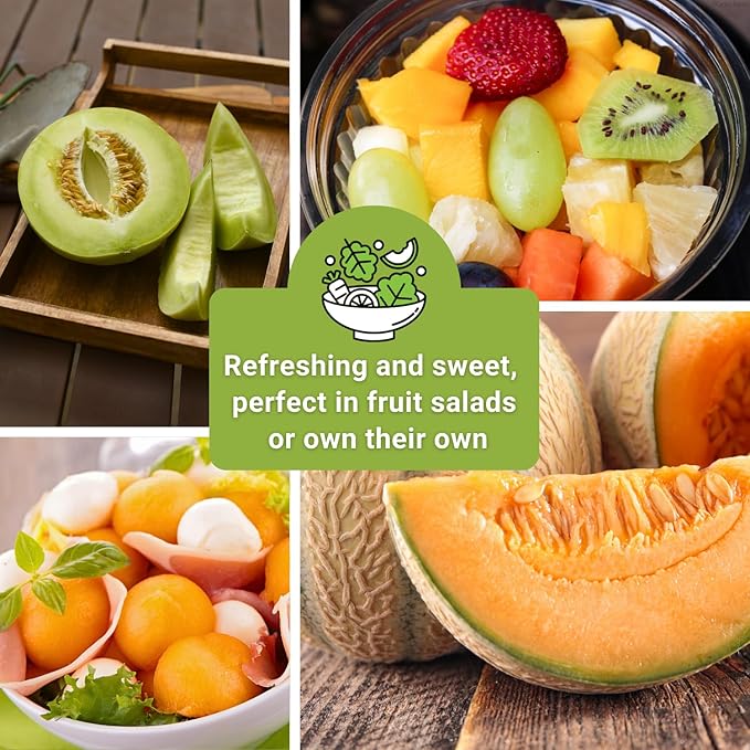 Sow Right Seeds - Cantaloupe Fruit Seed Collection for Planting - Individual Packets Honey Rock, Hales Best and Honeydew Melon - Non-GMO Heirloom Seeds to Plant an Outdoor Home Vegetable Garden