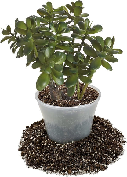 GARDENERA Premium Jade Plant Potting Soil Mix - (4 Quart Bag)