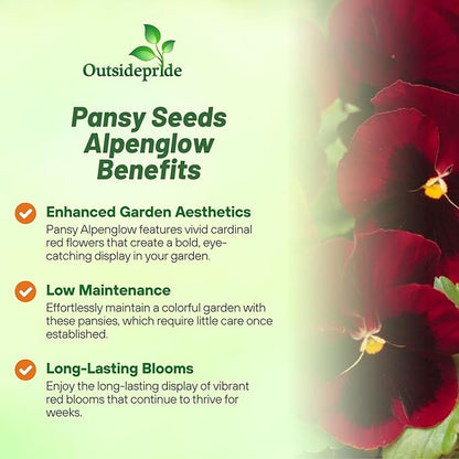 Outsidepride Red Alpenglow Viola Pansy Seeds for Planting - 1,000 Pcs. Biennials, Trailing, Cold-Hardy & Pollinator Friendly Flowers with Fragrant Blooms for Garden Beds, Borders & Container Displays