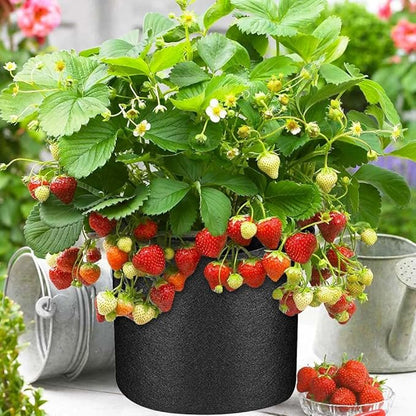 50 Pack 10 Gallon Plant Grow Bags, Heavy Duty Aeration Fabric Pots with Handles Thickened Nonwoven Garden Bags for Vegetables, Flowers, Fruits