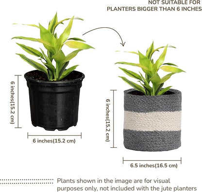 Jute Planter Basket-Woven Jute Rope Covers for Decorating Indoor/Outdoor Succulents, Small Plant Pots-Set of 2-Multi-Purpose Storage Bins 6.5 Inches - Modern Style Décor - Gray & White