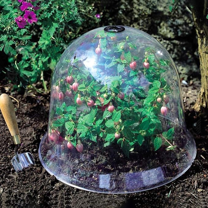 2pcs Plant Dome Garden Cloche Dome Plant Bell Protector Cover Plastic Protector Mini Insulation Cover Plastic Mini Greenhouse Clear