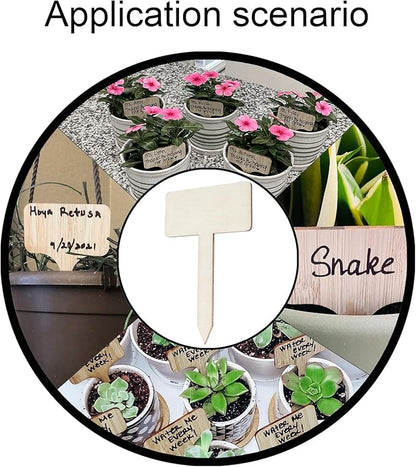 Plant Labels, 60 Pcs Plant Tags Garden Markers, Wooden T-Type Plant Name Stakes for Seed Potted Herbs Flowers Vegetables with Marker Pen, 4.1 x 2.5 inch