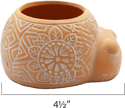 Cotta Planters Turtle Lady Bug Terracotta Animal Succulent Planter, Home Decor, 2-Pack Smaller Planter Set