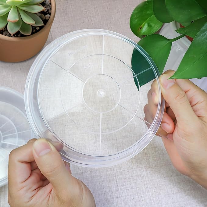 6 Pack Clear Plant Saucer, Durable Plant Drip Trays Saucers for Pots, No Holes Water Catcher Trays for Indoor Outdoor Planter, Sturdy Base Plate(8", Clear)
