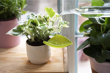Peleg Design Leaflow Plant Pot Watering Funnel (Set of 3), Plant Watering Funnel for Indoor and Outdoor Plants, Watering Leaves for Plants