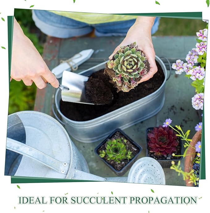 1000 Pcs 2.7 Inch Nursery Pots Bulk Square Small Plastic Seedling Starter Pots with Drainage Holes, Deep Planting Containers for Indoor Outdoor, Greenhouse, Garden, Nursery & Farm Use, Black