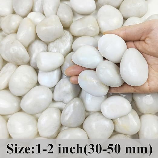 20 lbs White River Rocks, 1-2 Inch Polished Pebbles for Indoor Plants, Decorative White Stones for Plants, Vase, Aquarium, Fish Tank, Landscaping and Garden