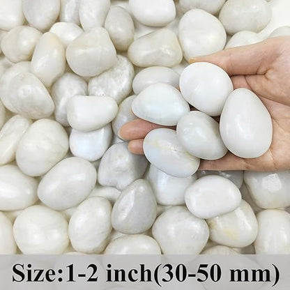 20 lbs White River Rocks, 1-2 Inch Polished Pebbles for Indoor Plants, Decorative White Stones for Plants, Vase, Aquarium, Fish Tank, Landscaping and Garden