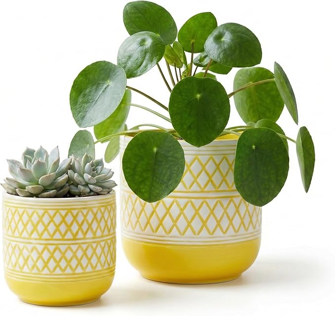 Decorative Ceramic Flower Pots Set of 2 – 6 & 4.7 Inch Indoor Plant Pots, Boho Decorative Pots for Plants, Orchid & Succulent Planters with Drainage