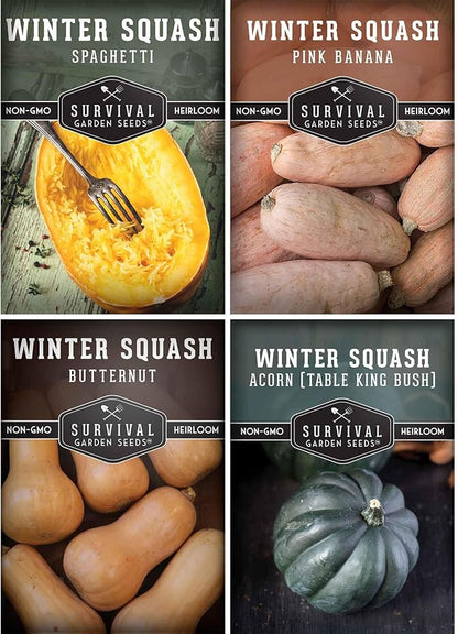 Winter Squash Variety Pack – 4 Heirloom Types for Planting: Butternut, Acorn, Pink Banana & Spaghetti – Non-GMO Garden Vegetables – Survival Garden Seeds