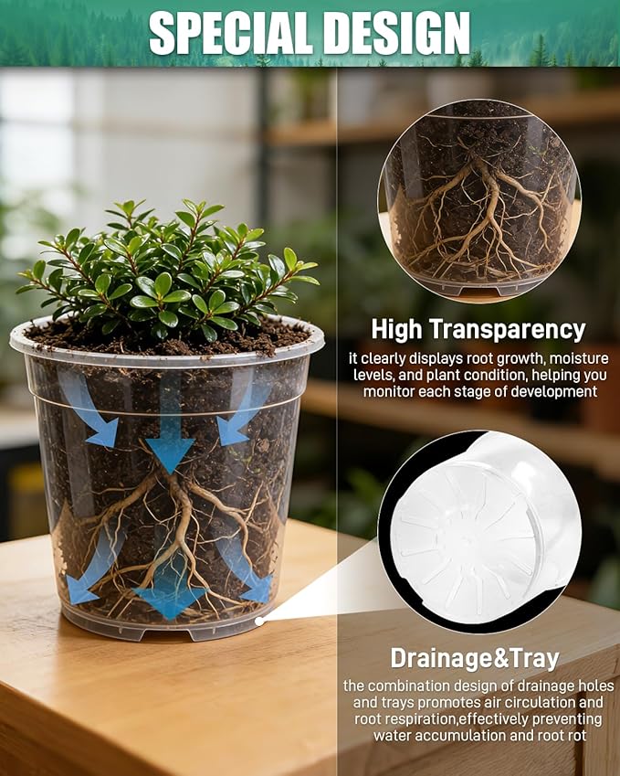 6 Pack Clear Nursery Pots with Drainage 9.5/8/7.5/6.7/5/4.5 Inch Nursery Pots with Saucers Transparent Seedling Pots Including Plant Labels Seed Starting for Indoor Outdoor Home Gardening
