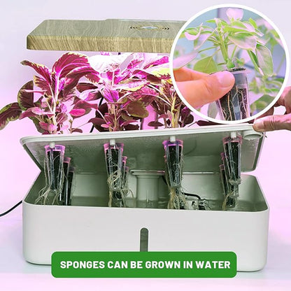 70 Pack Grow Sponges, Seed Pods Replacement, Sponges Seed Growth kit, Bulk Grow Sponges for Indoor Garden System(Brown)