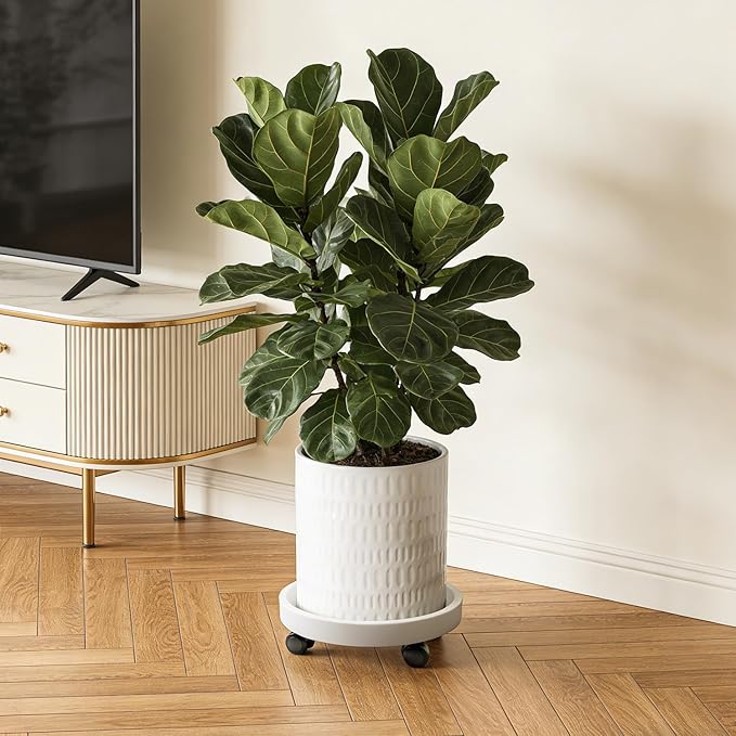 10 Inch Plant Pot with Caddy,Ceramic Planter with Drainage,Large Planters for Indoor Plants,Indoor&Outdoor Plant pots,Ceramic Flower pots,Cylinder Flower Planter Pot(Pure White)