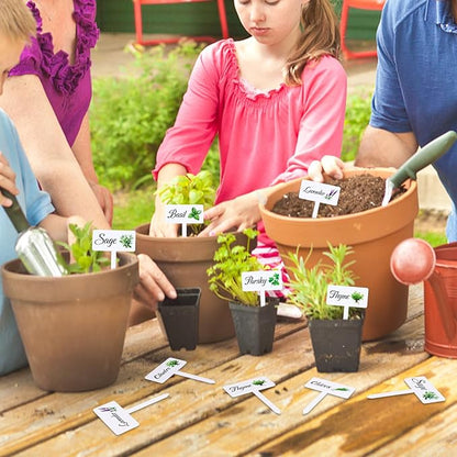 24 Pcs Acrylic Herb Garden Signs Plant Labels Waterproof Reusable Plant Tags with Names for Seedlings Nursery Outdoor Indoor Garden Permanet Labels Markers
