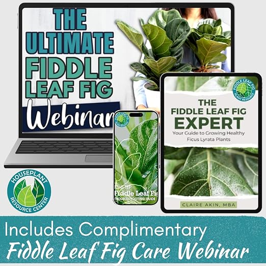 Fiddle Leaf Fig Rescue Drops – Treats Root Rot, Brown Spots, Leaf Drop & Stress | Immune Boosting Liquid Formula Concentrate | Easy to Use | Safe for All Tropical Plants | 3.3 oz | Made in USA