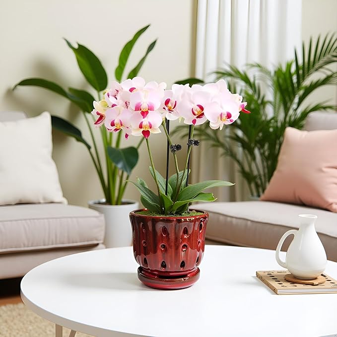 Ceramic Orchid Pot with Attached Saucer and Drainage Hole 6'' Orchid Planter (Red)
