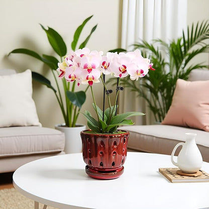 Ceramic Orchid Pot with Attached Saucer and Drainage Hole 6'' Orchid Planter (Red)