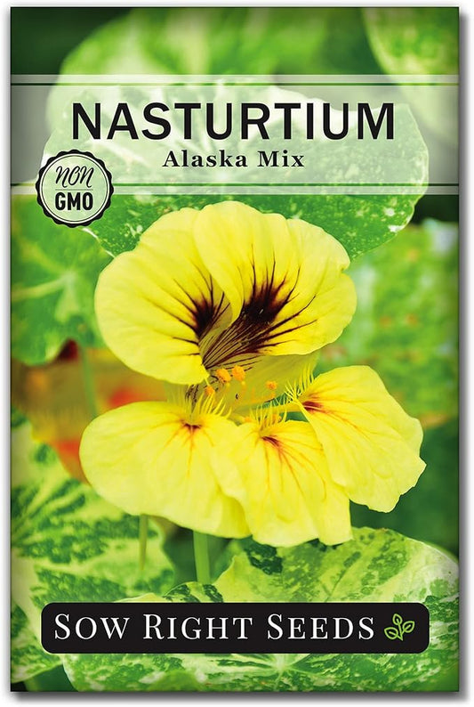 Sow Right Seeds - Dwarf Alaska Mix Nasturtium Seeds for Planting - Edible Flower - Non-GMO Heirloom Packet with Instructions to Plant in Your Garden - Warm Colored Blooms and Variegated Leaves (1)