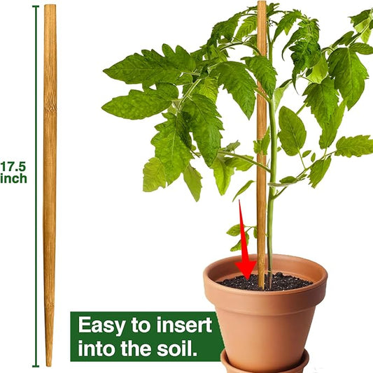 Strong Bamboo Sticks for Plants,18 Inch Tall Bamboo Poles for Plants, Plant Stakes for House Outdoor Indoor, Wood Garden Stakes for Potted Tomato Flower, 12 Pieces Long Wooden Rods Heavy Duty Support