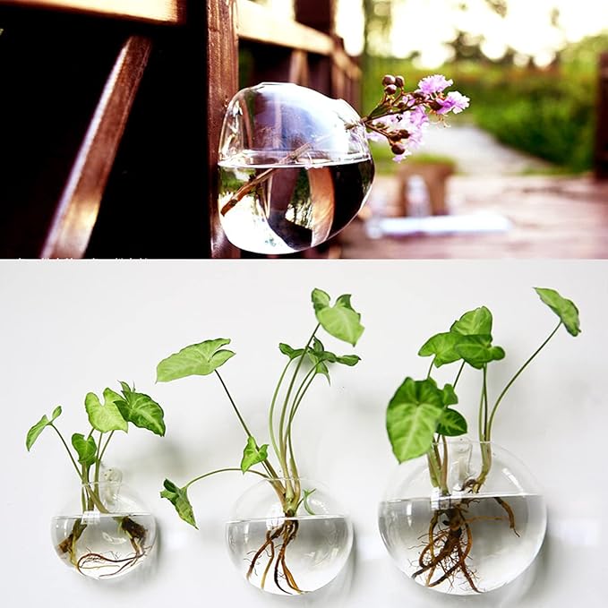 Yarlung 6 Pack Wall Hanging Planters Terrarium, 4.7 Inch Glass Oblate Globe Plants Containers, Wall Mount Clear Flower Vase for Propagating Hydroponics Plants, Air Plants (Plants Not Included)