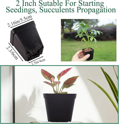 150 Packs Square Nursery Pots for Plants 2.2 Inch Succulent Plant Pots Set Plastic Seedling Starting Pots with Drainage Holes Nursery Pots Variety Pack Flower pots Planter Seed Starter, Black