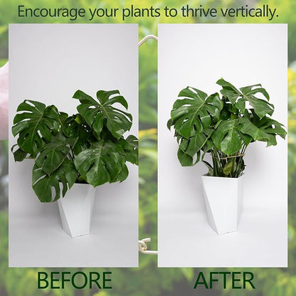 5PCS 11 * 9.4 Inch Monstera Plant Support Stem - Premium Adjustable Leaf Holder & Fishbone Cactus Stake, Durable Gardening Tool for Climbing Plants, Easy Installation & Enhanced Stability