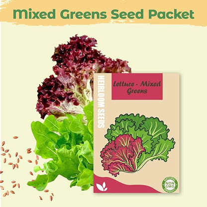 Salad Greens Mix Seed Pod Kit for Aerogarden, 8-Pods Hydroponic Refill Pack, Compatible with All Indoor Gardens, Includes Grow Sponges, Plant Food, Grow Anything Seed Pod Kit, 8-POD