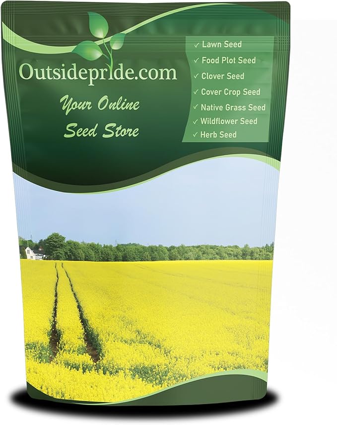 Outsidepride Trophy Forage Rape Seed - 1 Lb Heat, Cold & Drought-Tolerant Brassica Food Plot Seed, Ideal for for Deer & Livestock Grazing, Fall Planting, Soil Improvement, & Erosion Control