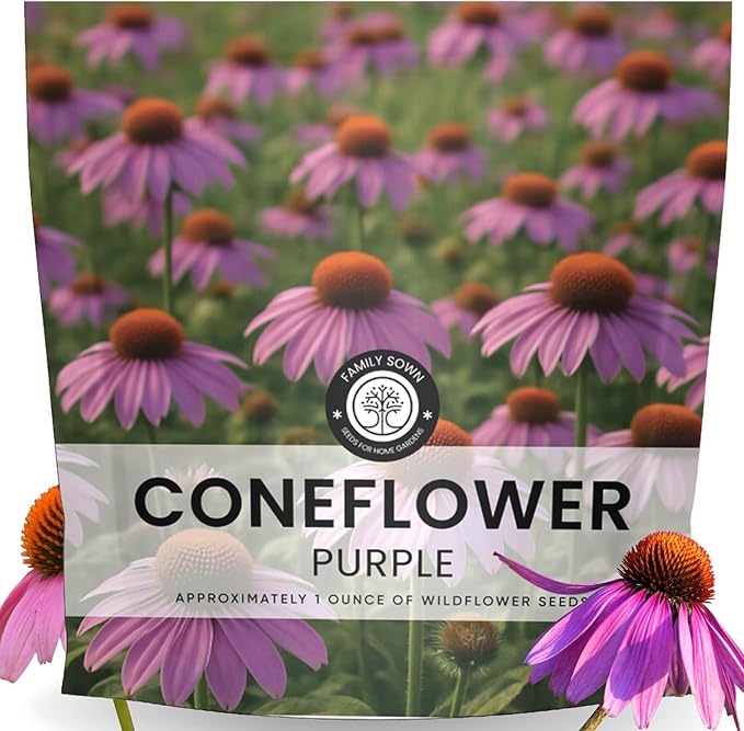 Purple Coneflower – 7,000 Seeds for Planting – 2026 Season – 1 Ounce Pouch