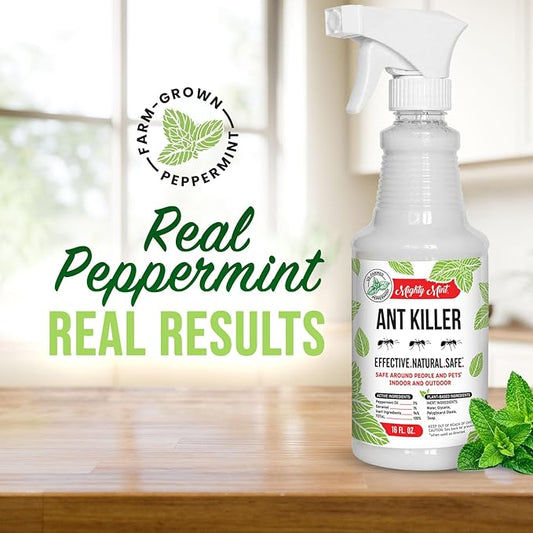 Mighty Mint Peppermint Oil Ant Killer Spray – Natural Ant Repellent for Indoor & Outdoor Use – Plant-Based Insect & Pest Control – 16 oz (Pack of 2)
