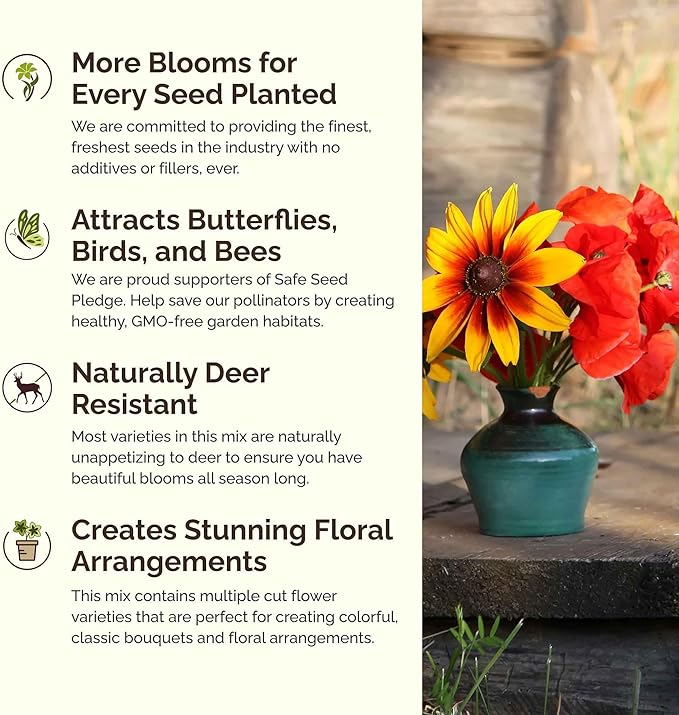 Eden Brothers New Jersey Wildflower Mixed Seeds for Planting, 1 lb, 480,000+ Seeds with Cornflower, Coneflower | Attracts Pollinators, Plant in Spring or Fall, Zones