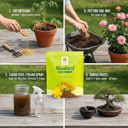 Natural Mustard Oil Cake Powder As Fertilizer for All-Purpose Fertilizer Concentrate for Flower, Vegetable, Herb, Fruit Tree (Pack of 2-6 LB)
