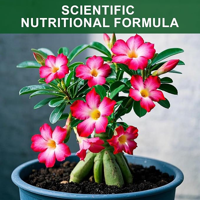 Organic Desert Rose Potting Soil Mix for Healthy Growth 1qt - 100% Natural Potting Mix - Specially Formulated Nutrient-Rich Plant Soil for Desert Rose Plant.