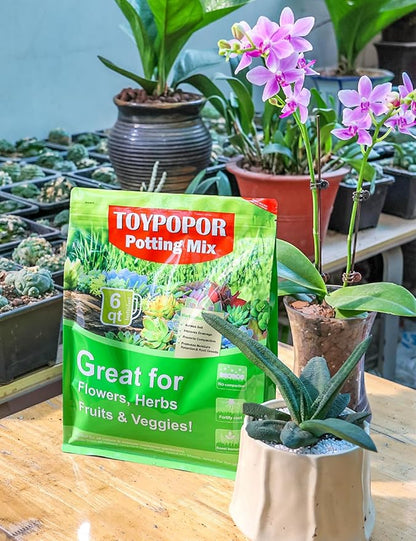 TOYPOPOR Perlite for Plants, 3-6mm Organic Perlite for Gardening, Perlite for Plants Indoor, Soil Additive Conditioner Mix Improve Drainage and Ventilation Promote Root Growth and Soil Health 1qt