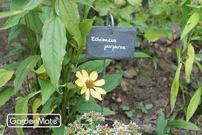 GardenMate 10-Pack Natural Style Slate Plant Labels (4"x 2 3/4") Hanging from a Stainless Steel Metal Rod (22")