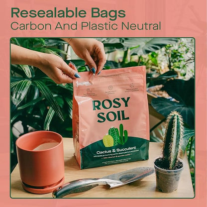 Cactus and Succulent Organic Potting Soil Mix for House Plants - Fast Draining, Root Boosting, Peat-Free, Less Prone to Gnats - Drought-Tolerant - Growth of Aloe Vera, Cacti and Indoor Succulents- 4qt