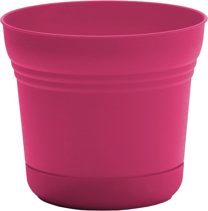Bloem Saturn 7" Fuchsia Round Resin Planter Pot with Snap-in Saucer for Indoor and Outdoor Gardening, 4-Pack