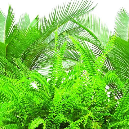 Jobe's Fern & Palm Indoor Fertilizer Food Spikes - 2 Packs of 30-Pack 5101