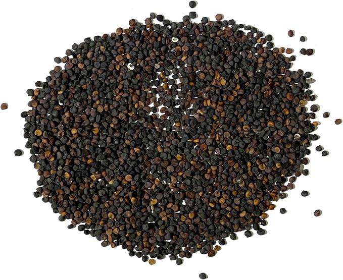 Seed Needs White Baby's Breath Seeds for Planting - Heirloom & Open Pollinated Annual Flowers - Perfect for a Butterfly Garden, Bouquets & Floral Arrangements (1 Pack)