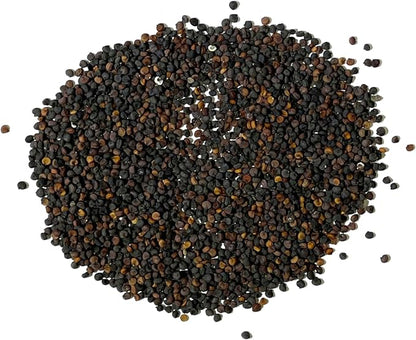 Seed Needs White Baby's Breath Seeds for Planting - Heirloom & Open Pollinated Annual Flowers - Perfect for a Butterfly Garden, Bouquets & Floral Arrangements (1 Pack)
